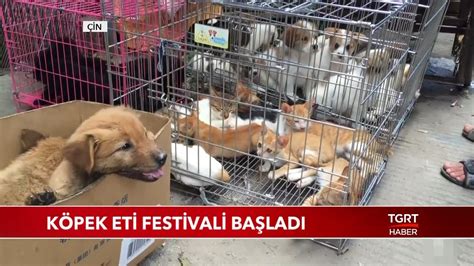 çin köpek festivali nedir